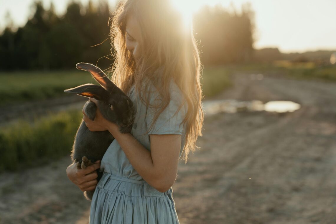 animal reiki explained