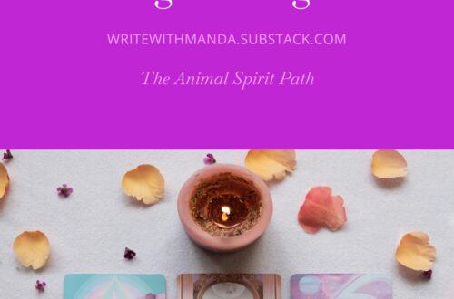 oracle readings vs tarot readings for beginners